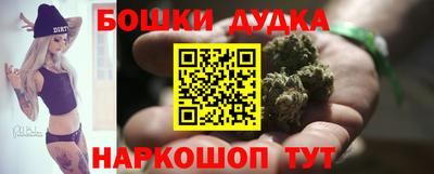 Альфа ПВП Гатчина