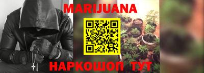 Альфа ПВП Гатчина