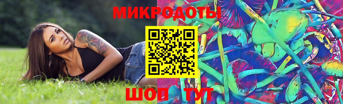 Галлюциногенные грибы Psilocybine cubensis  Кимовск 