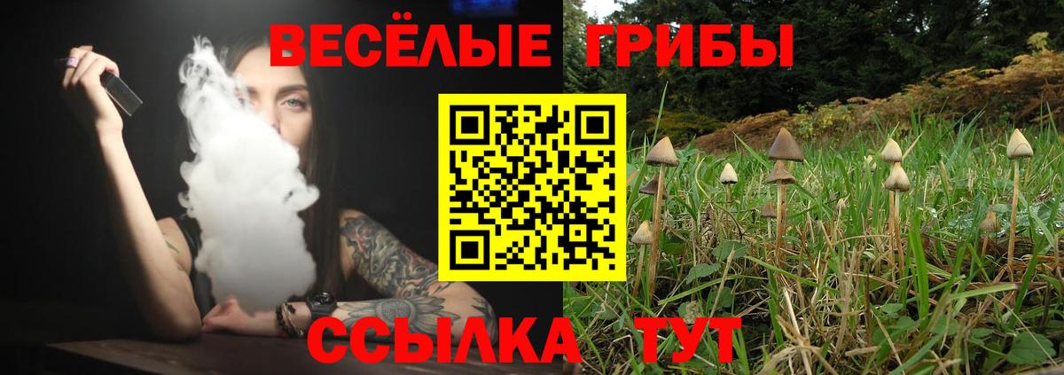 Псилоцибиновые грибы Cubensis  Вход с VPN  Кимовск 